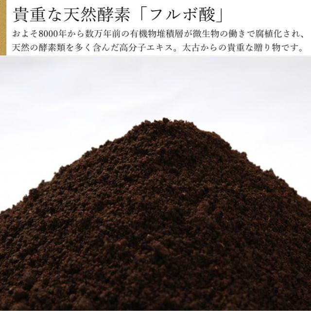 フルボ酸濃縮液 金龍泉 ドラゴンウォーター 500ml 飲むフルボ酸 2本セット(2)_2
