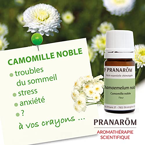 プラナロム カモマイルジャーマン 5ml カモミール PRANAROM Pranarom