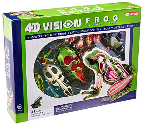 立体パズル 4D VISION 動物解剖 カエル解剖モデル [並行輸入品]