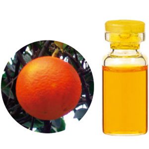 生活の木 オレンジスイート 100ml