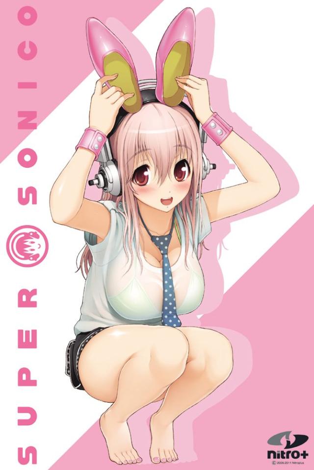 1000ピース ジグソーパズル すーぱーそに子 うさみみごっこ (50x75cm)