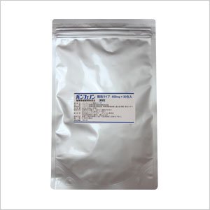 パンフェノン　顆粒600mg×30包