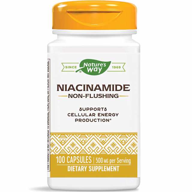 海外直送品Natures Way Niacinamide 100 Caps 500 mg(Pack of 4)