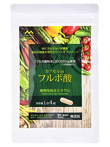 ライフバランス カプセルinフルボ酸 120粒