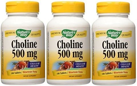 ネイチャーウェイ コリン 500mg 100粒入 (3本セット) [並行輸入品]