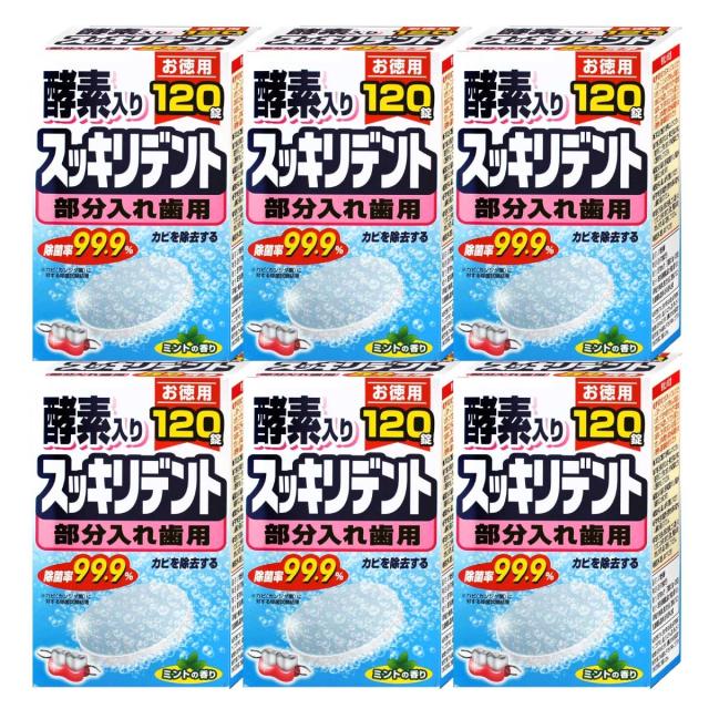 入れ歯 洗浄剤 部分入れ歯用 120錠×6箱セット(720錠セット) 酵素入り カビを除去 ミントの香り