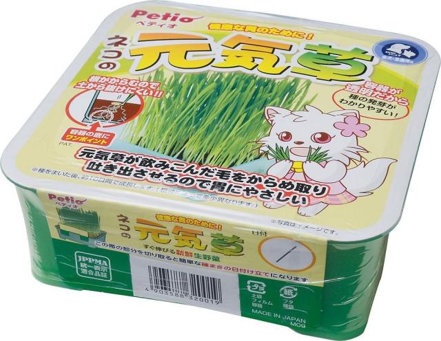 （まとめ買い）ペティオ 猫の元気草 【×14】