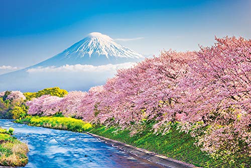 1000ピース ジグソーパズル 春爛漫の桜並木と富士山(静岡) (50x75cm