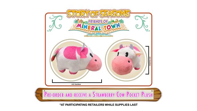 Story of Seasons: Friends of Mineral Town(輸入版:北米)- PS4_1