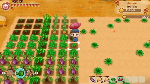 Story of Seasons: Friends of Mineral Town(輸入版:北米)- PS4_2