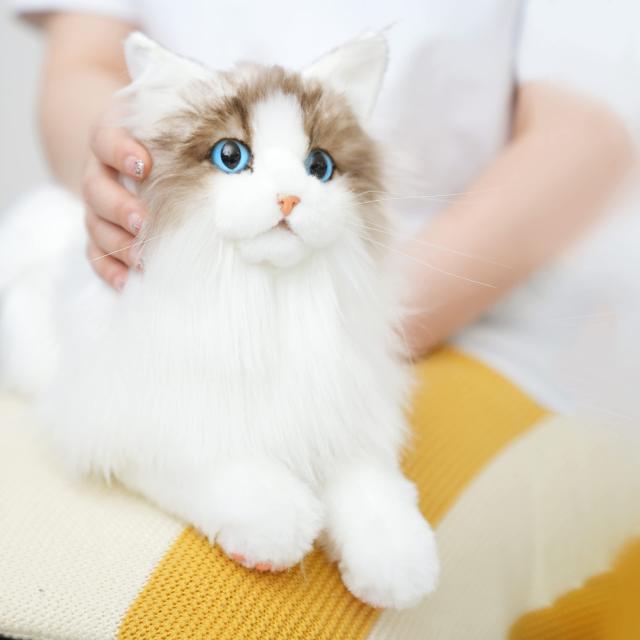 猫 ぬいぐるみ リアル手作ぬいぐるみ本物のサイズは、猫好き、お年寄りへのプレゼントです母の日プレゼントの通販は 12,815円