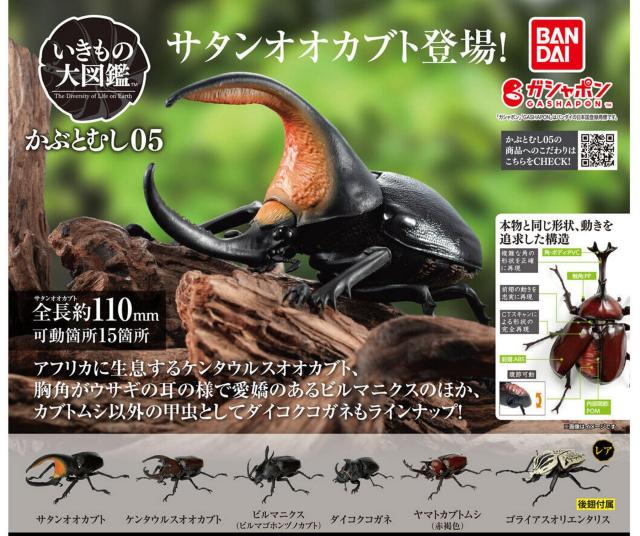 バンダイ(BANDAI) いきもの大図鑑 かぶとむし05 × 全6種セット フルコンプ ガチャガチャ カプセルトイ