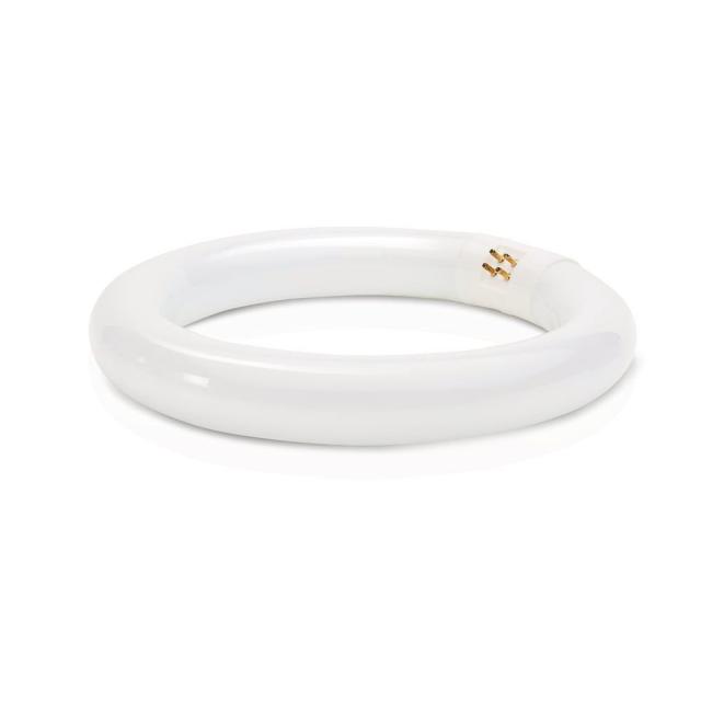 Philips 391169 Circline蛍光灯22ワット8インチt9クールホワイトライト電球 T9 046677391164 1の通販は 8,339円