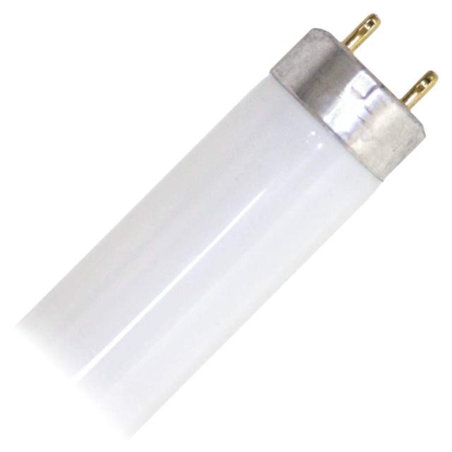 Sylvania 22137 ? fo17 / 841 / ECO Straight t8蛍光灯チューブライト電球