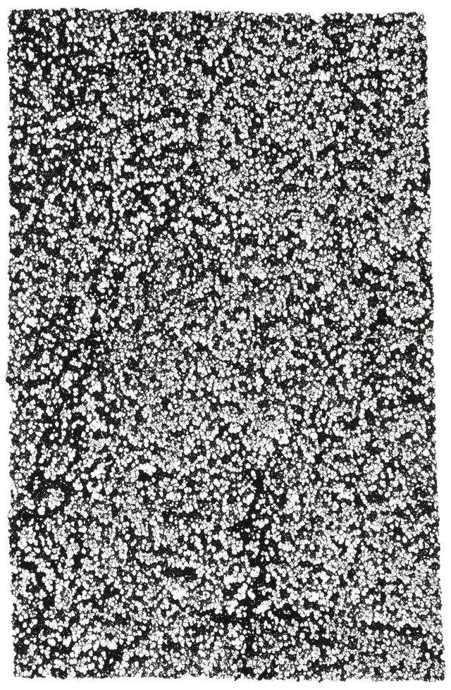 Whynter Activated Carbon交換用フィルタWhynterエアコンポータブルモデルarc-12s ( arc-cf-12s )