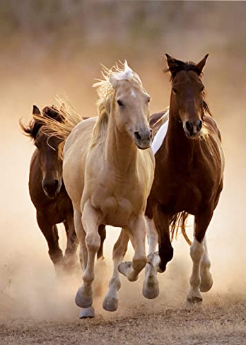 1000平和条約 謎合わせ Clementoni 突っ走る馬 Running Horses 48×68糎 39168
