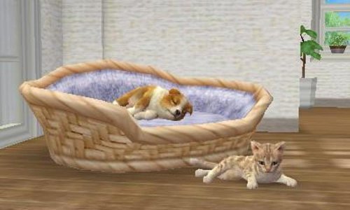 nintendogs + cats 柴 &amp; Newフレンズ - 3DS_1
