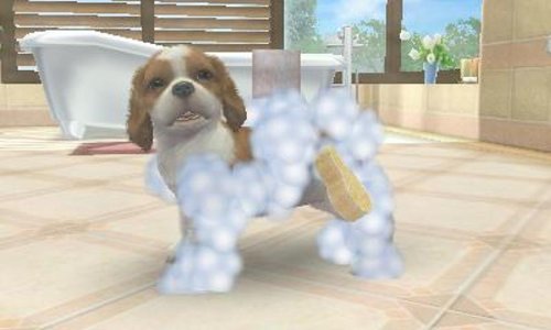 nintendogs + cats 柴 &amp; Newフレンズ - 3DS_2