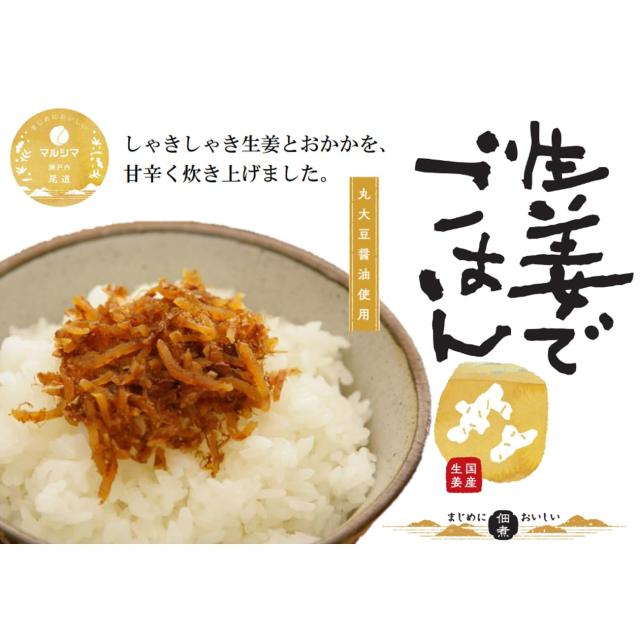 マルシマ　生姜でごはん＜70g＞−10個セット−_2