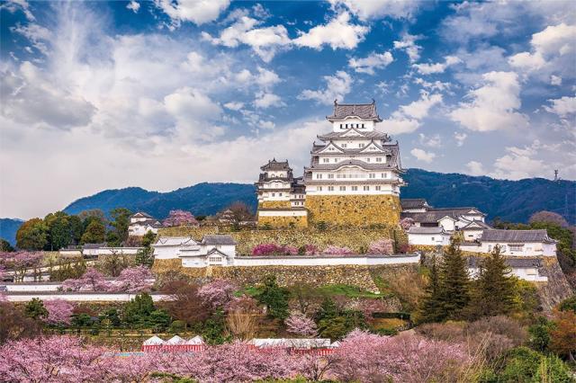 1000平和条約 謎合わせ 桜咲く姫路城(兵庫)(50x75糎)