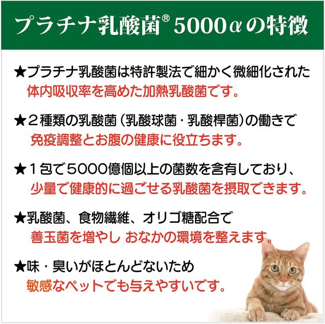 乳酸菌ラボ 公式 猫 乳酸菌 サプリ 犬用 猫用 プラチナ乳酸菌5000α（30