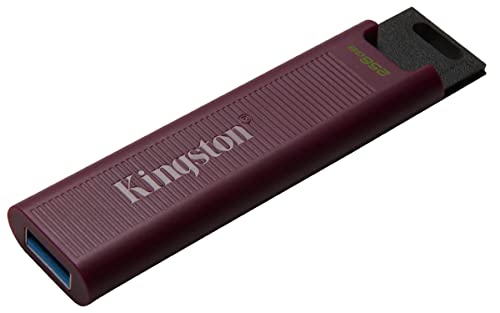 キングストンテクノロジー Kingston キングストン 超高速USBメモリ 256GB USB3.2 Gen2 読出最大1000MB/秒 直挿スティ_1