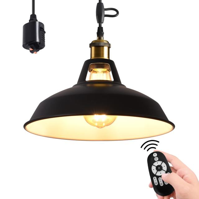 LVWIT ペンダントライト ダクトレール式 E26口金 直径31CM 北欧風 LED電球付き 調光調色 エジソン電球 消費電力6W 遠隔操作 コード