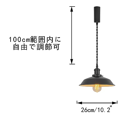 FSLiving 3個パック ペンダントライト ダクトレール式ライト 吊り下げライト ライティングレール用 コード長さ100cm 100cm範囲内に調_1