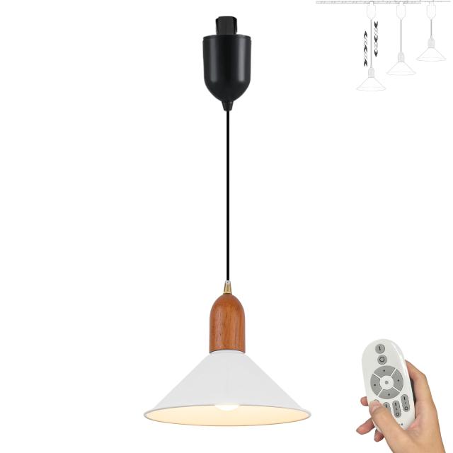 SKIVTGLAMP 最新登場 木製 リモコン操作 ダクトレール用 ペンダントライト コードを収納して長さ調整が可能 7W LED 無段階 調光&調色の通販は 6,265円
