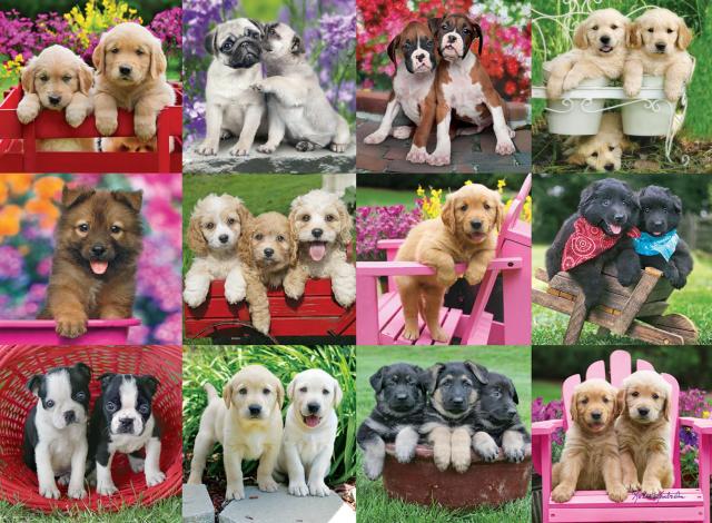 Ravensburger Puppy Pals 500平和条約 謎合わせ 成年者用 - 12000196 - 手作りツーリング ＦＲＧ製 全てのピ