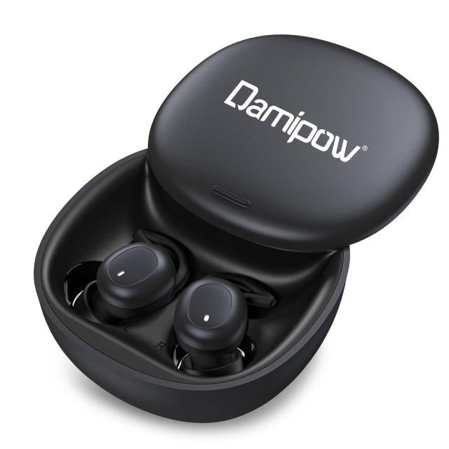 Damipow 寝ホン ワイヤレス 睡眠用イヤホン Bluetooth 5.3【昼夜兼用イヤホン&睡眠改善】ミニ 超軽量化 高遮音性 柔軟性高 カナル