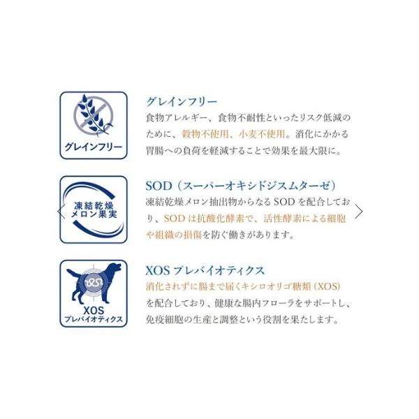 VetSolution ベッツソリューション 犬用 肝臓サポート 3kg ドッグフード 犬 餌_3