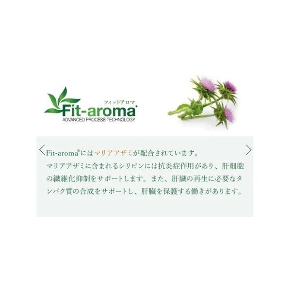 VetSolution ベッツソリューション 犬用 肝臓サポート 3kg ドッグフード 犬 餌_4