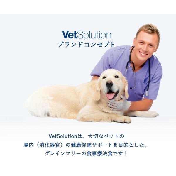 VetSolution ベッツソリューション 犬用 肝臓サポート 3kg ドッグフード 犬 餌_5