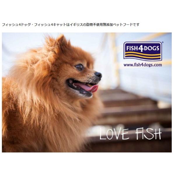 FISH 4 DOGS フィッシュ4ドッグ スーペリア アダルト 3kg 3000g 1.5kgx2個_1