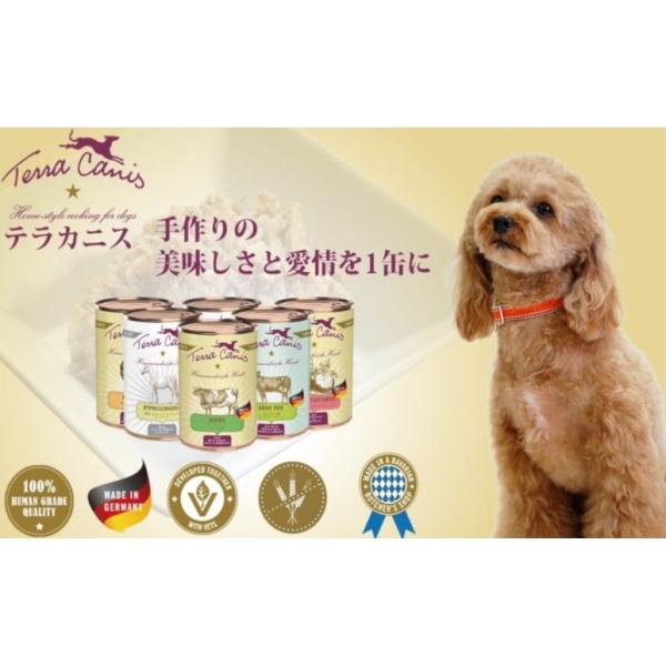 Terra Canis テラカニス ハイポアレルゲン オーストリッチとパースニップ グレインフリー 1種類のお肉と1種類の野菜 400g 6個 2400g ドッグフード 缶詰_1