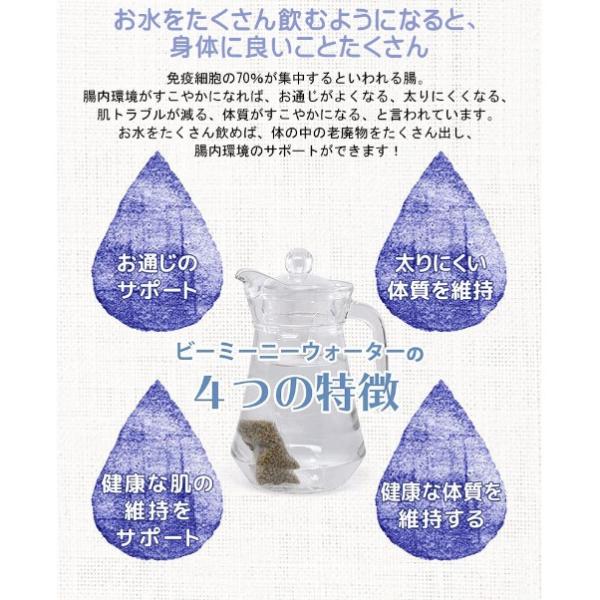 BeeMeeNee ビーミーニー 飲料水改質触媒 ビッグ 犬用　改水セラミック触媒 お肌 お通じ_2