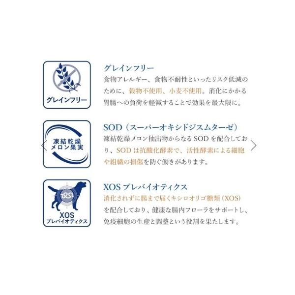 VetSolution ベッツソリューション 犬用 皮膚サポート 3kg 療養食 犬 ドッグフード 餌 皮膚疾患 掻痒症 脱毛症 食物過敏症_2