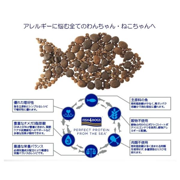 FISH4DOGS フィッシュ4ドッグ ファイネスト サーモン 小粒 12kg FISH4DOGS フィッシュ4ドッグ ファイネスト サーモン 小粒 12kg
