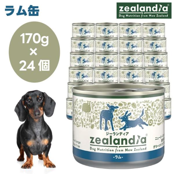 zealandia ジーランディア ラム缶 170g×24缶セット ドッグフード 犬 餌 グリーントライプ 関節ケア ニュージーランド産 11,180円