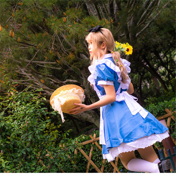 パレイデアル様　アリス服　ドレス　1/4 MDD 中古 アリス ワンピース コスチューム 衣装 コスプレ レデイース 水色アリス