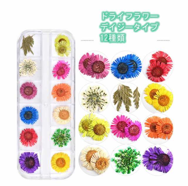 ドライフラワー 48種類 4ボックス セット 押し花 パーツ ネイル ハーバリウム レジン 素材 花材 かすみ草 デコ Mmk O71 8 12日発送 の通販はau Pay マーケット マインド ワン