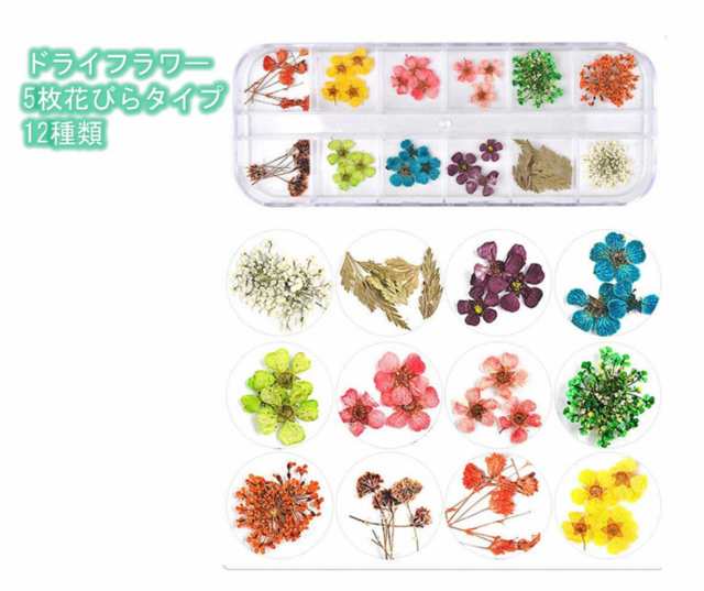 ドライフラワー 48種類 4ボックス セット 押し花 パーツ ネイル ハーバリウム レジン 素材 花材 かすみ草 デコ Mmk O71 1 2日発送 の通販はau Pay マーケット マインド ワン