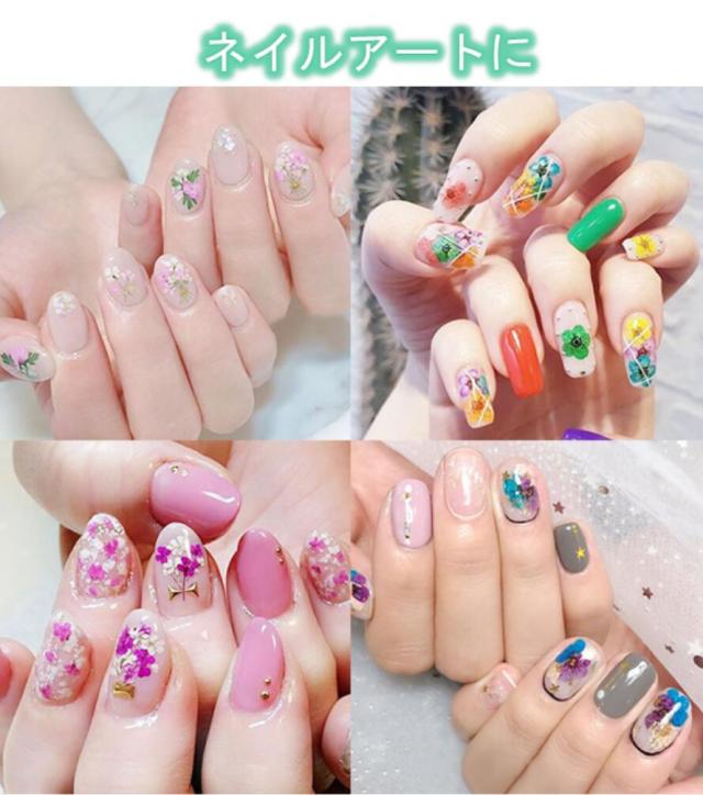 ドライフラワー 48種類 4ボックス セット 押し花 パーツ ネイル ハーバリウム レジン 素材 花材 かすみ草 デコ Mmk O71 1 2日発送 の通販はau Pay マーケット マインド ワン ドライフラワー 48種類 4ボックス セット 押し花 パーツ ネイル ハーバリウム レジン 素材 花材 かすみ草 デコ Mmk O71 1 2日発送 の通販はau Pay マーケット マインド ワン