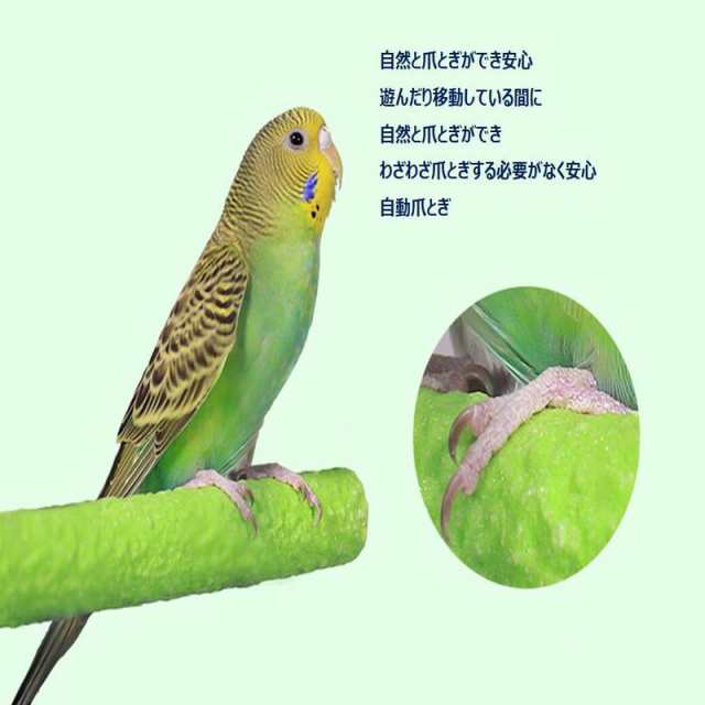 名作 180×12mm 止まり木 鳥 天然木 鳥グッズ 小 2本組 BIRDMORE