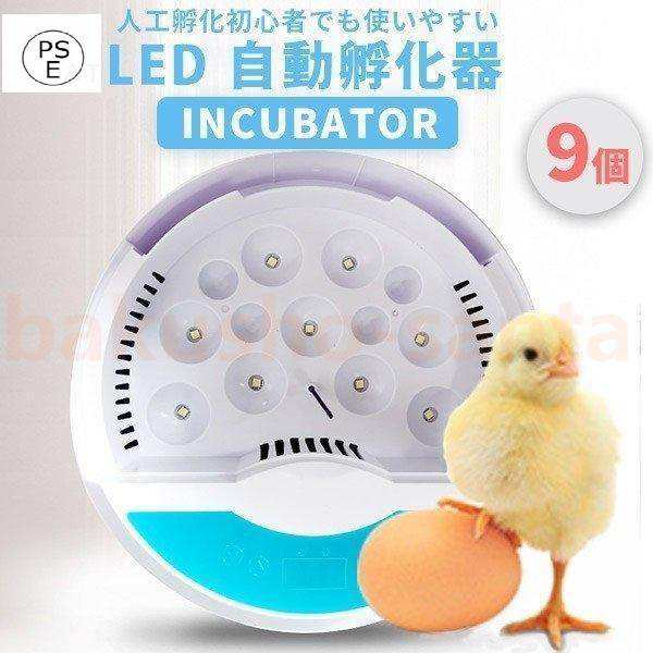 リトルママ 鳥類 孵卵器 （孵卵器 リトルママ （ベルバード