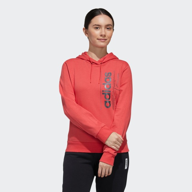 adidas basic hoodie