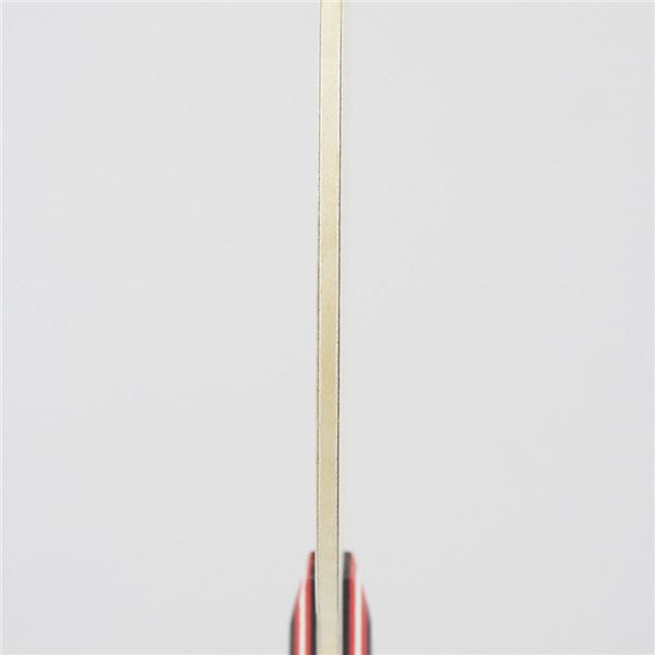 なくなく STIGA（スティガ） 中国式ラケット CARBONADE 45 PENHOLDER