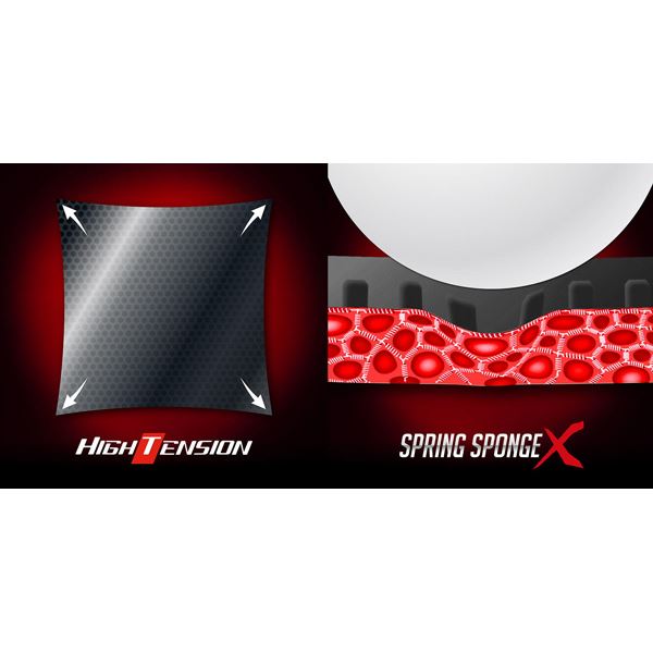 TAMASU(タマス) バタフライ(Butterfly) 卓球 ラバー ディグニクス 05