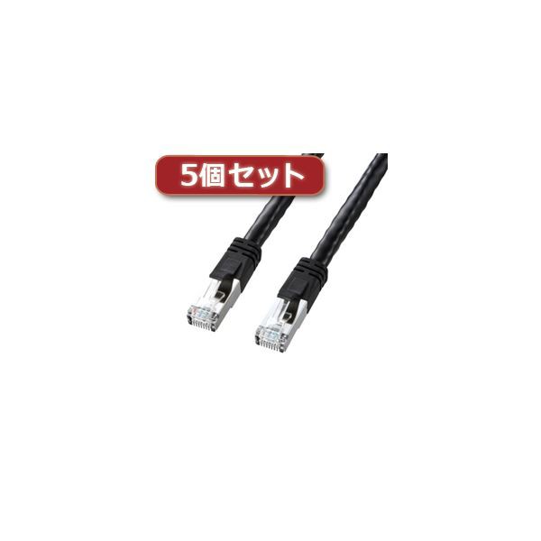 5個セット サンワサプライ PoE CAT6LANケーブル(10m) KB-T6POE 5個セット サンワサプライ PoE CAT6LANケーブル(10m) KB-T6POE